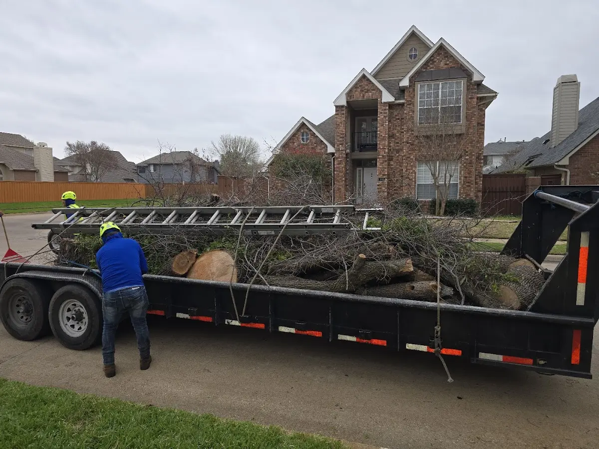 Expert Tree Fertilization with proper safety equipment in Howard City